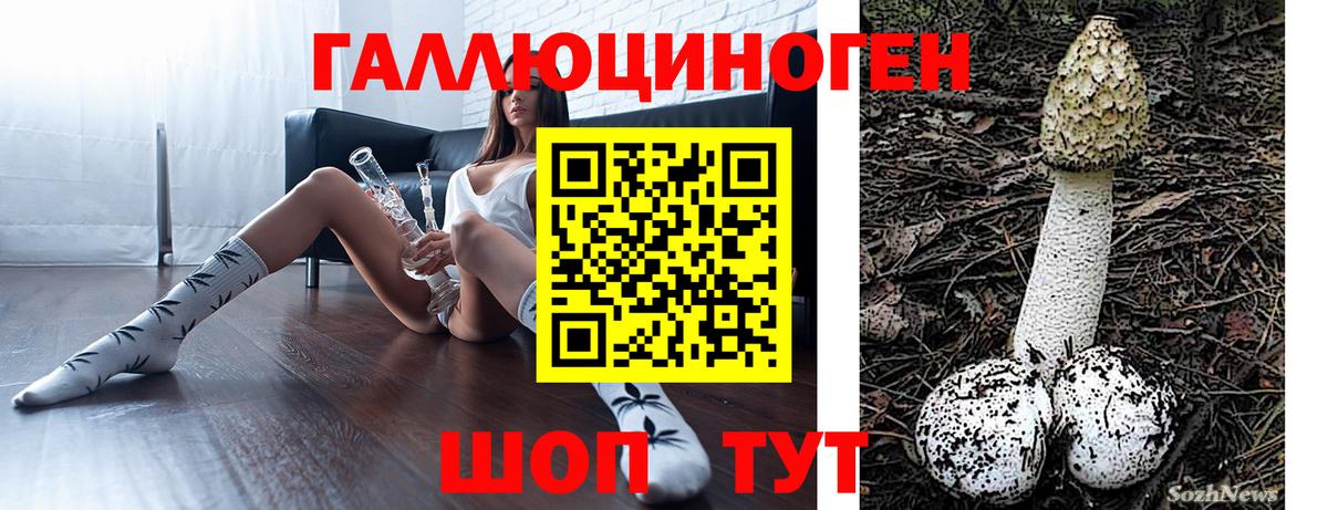 Галлюциногенные грибы Psilocybe Кулебаки